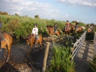 Horse riding for several days in Guerande 